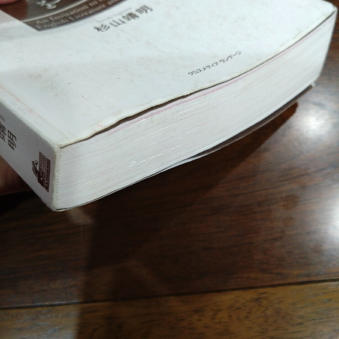 【英語参考書】美しい文学を読んで英文法を学ぶ エンタメ/ホビーの本(語学/参考書)の商品写真