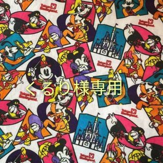 ディズニー(Disney)のくるり様専用(バッグ)