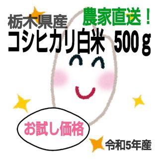 【令和5年 新米 栃木県産コシヒカリ 500ｇ☆白米 お試し価格】(米/穀物)