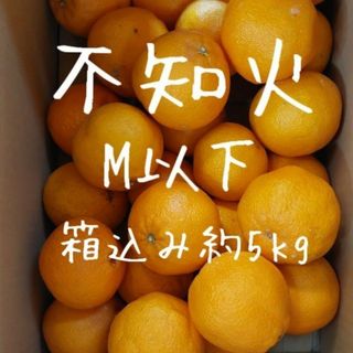 不知火 箱込み約5kg M以下 家庭用 訳あり(フルーツ)