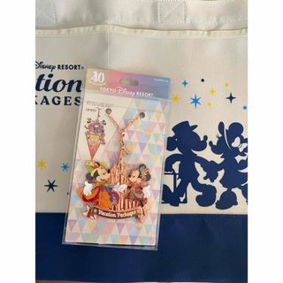 【新品未使用】Disney チャーム+バッグ(キャラクターグッズ)