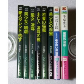 官能小説８冊 ｆ(文学/小説)