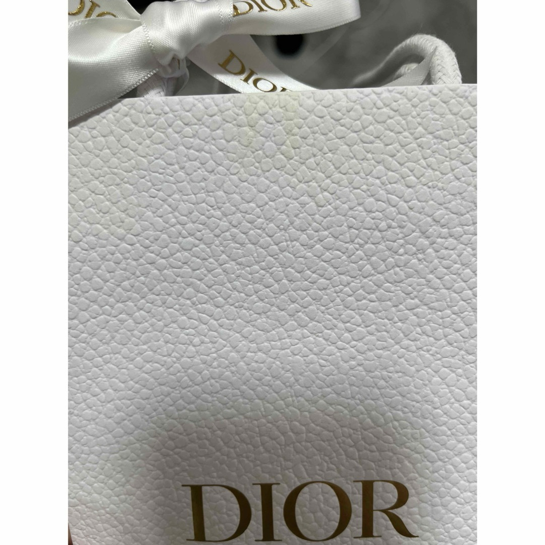 Dior(ディオール)のココア様専用　ディオールショッパー 5枚セット レディースのバッグ(ショップ袋)の商品写真