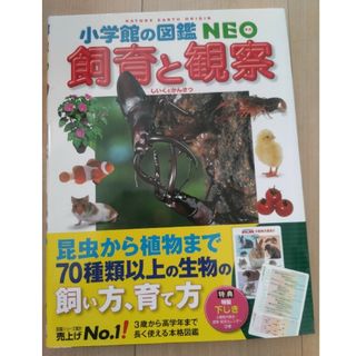 3ページ目 - 小学館 絵本/児童書の通販 7,000点以上 | 小学館の