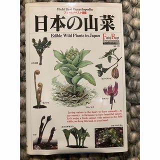 ガッケン(学研)の図鑑・ずかん/日本の山菜/フィールドベスト図鑑vol.13/高橋秀男/本(趣味/スポーツ/実用)