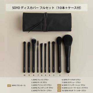 【新品未使用】SOYO ディスカバー フルセット（10本＋ケース付）