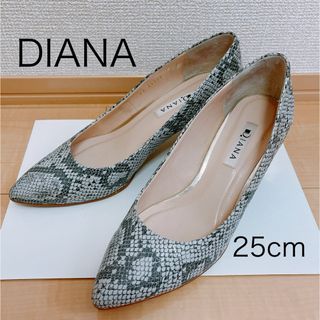 ダイアナ(DIANA)のDIANA パイソン柄　パンプス　25cm(ハイヒール/パンプス)