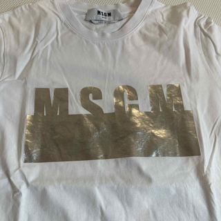 MSGM Tシャツ(Tシャツ(半袖/袖なし))