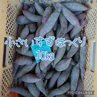 小さいすずほっくり10kg(野菜)