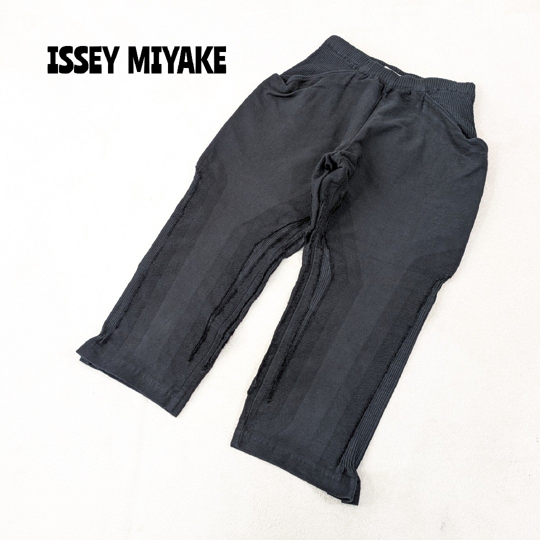 国産品 RIPPLES ☆ MIYAKE（イッセイミヤケ） イッセイミヤケ TROUSERS