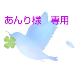 あんり様　専用(航空券)