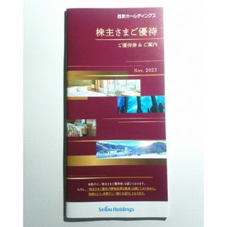 セイブヒャッカテン(西武百貨店)の西武 株主優待冊子 共通割引券 10000円分他 (1000株)(その他)