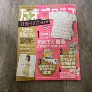 ベネッセ(Benesse)の4/30 たまごクラブ 2019年 11月号(結婚/出産/子育て)