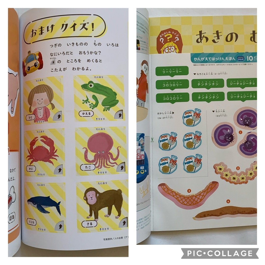 Benesse(ベネッセ)の最新　Benesse ベネッセ こどもちゃれんじ じゃんぷ 絵本　4月号〜3月号 エンタメ/ホビーの本(絵本/児童書)の商品写真