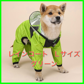 【即日発送】犬服　レインコート　フェイスカバー付き　スナップボタン　おしゃれ(ペット服/アクセサリー)