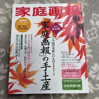 家庭画報 2023年 11月号 [雑誌](生活/健康)