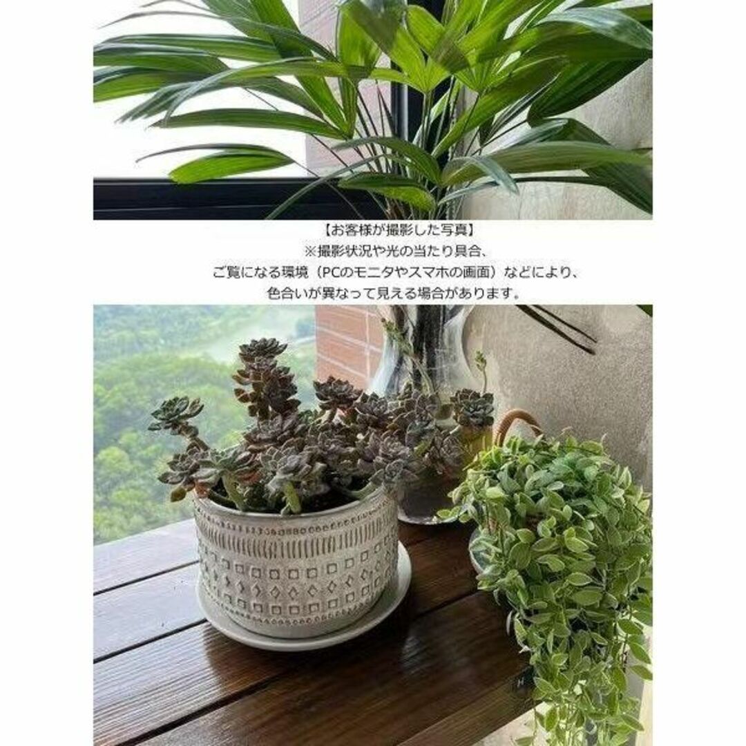 N0080  【アメリカ】6号 幾何模様 植木鉢 室内 陶器鉢 多肉 植物 鉢植 ハンドメイドのフラワー/ガーデン(プランター)の商品写真