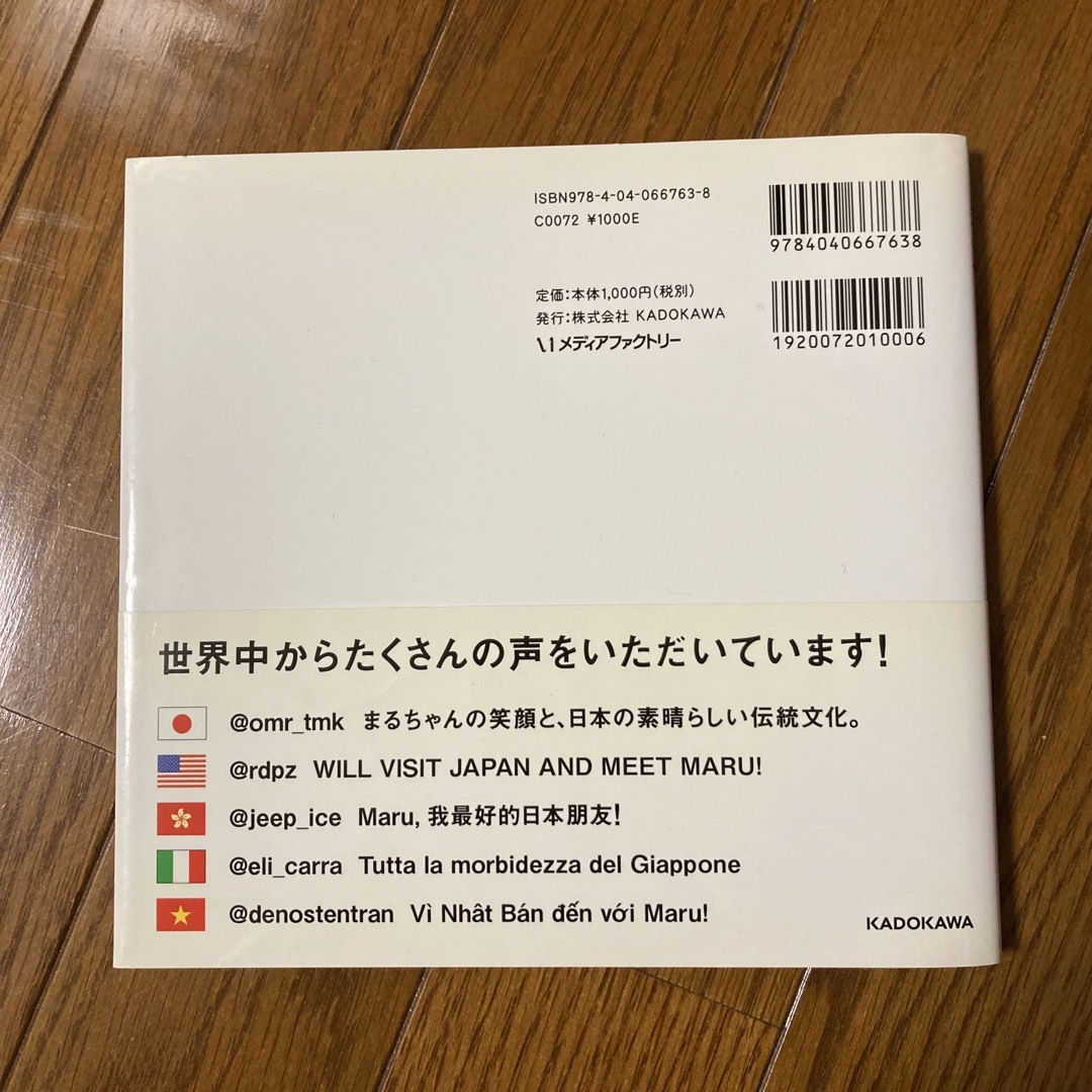 柴犬まる エンタメ/ホビーの本(その他)の商品写真