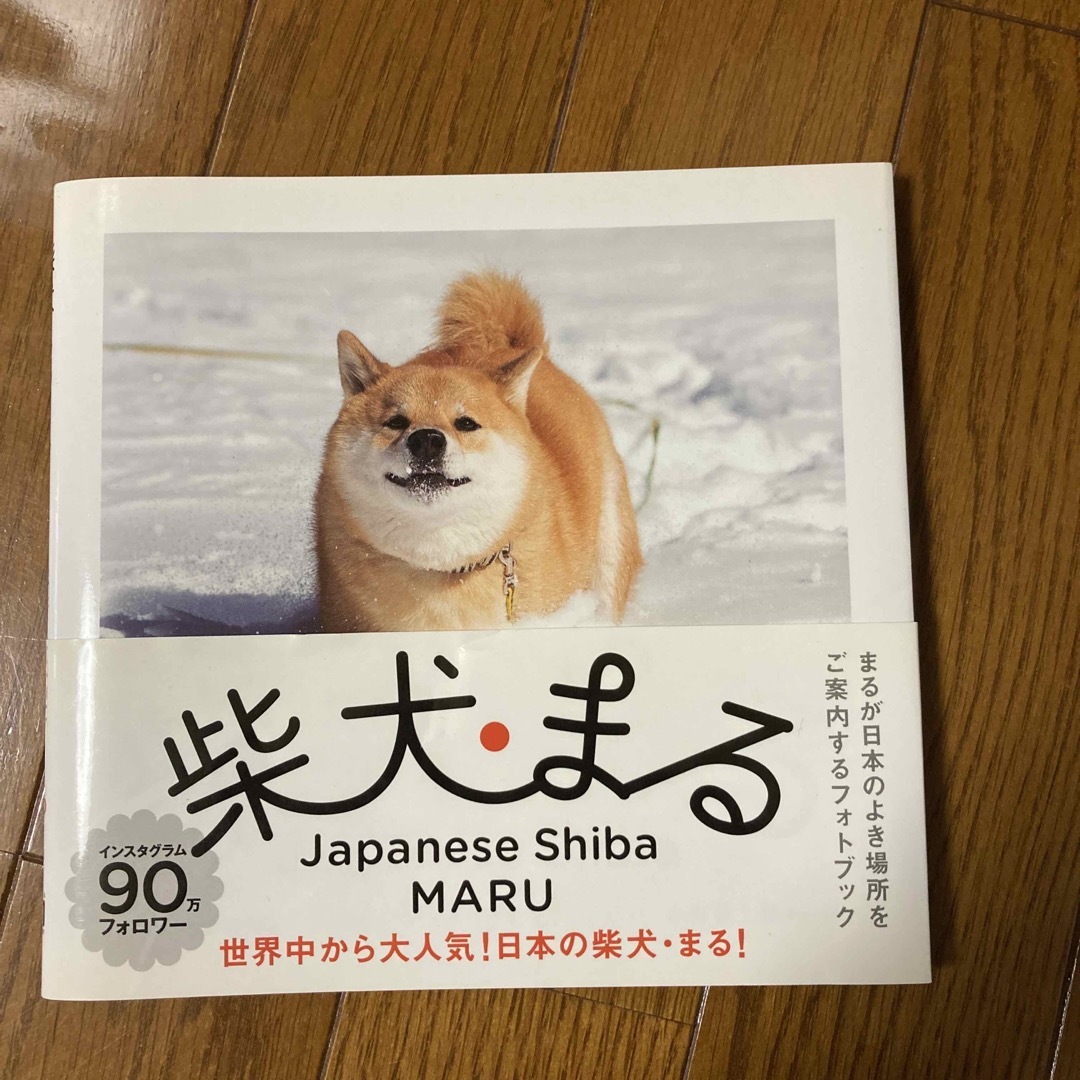 柴犬まる エンタメ/ホビーの本(その他)の商品写真