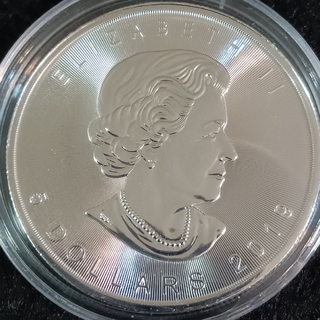 カナダメイプルリーフ1オンス銀貨　未使用美品銀貨　正規購入品純銀地金銀貨　1枚(金属工芸)