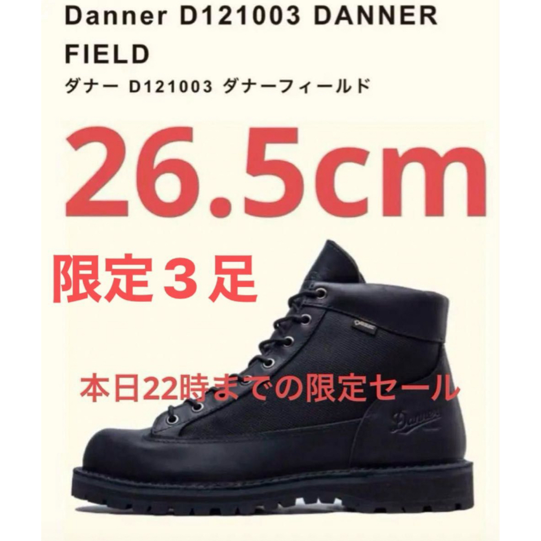 Danner(ダナー)の【本日22時まで限定セール¥15000→14500】【限定3足】ダナーフィールド メンズの靴/シューズ(ブーツ)の商品写真