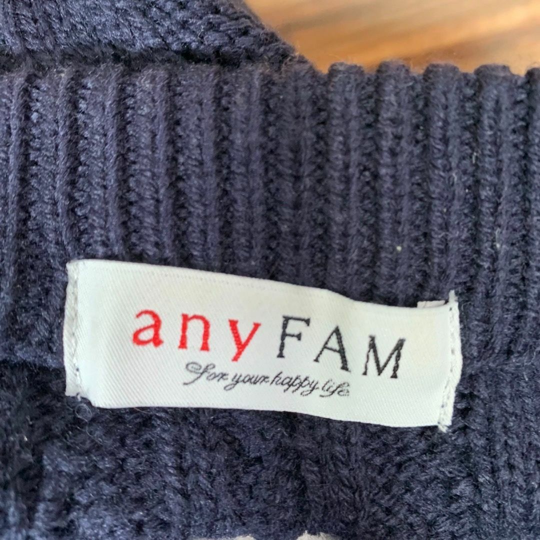 anyFAM(エニィファム)のany FAM エニィファム ニット セーター サイズ3 L相当 紺 ネイビー レディースのトップス(ニット/セーター)の商品写真