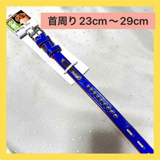 ペティオ(Petio)のペティオ　首輪　〜7kg  小型犬用　ブルー  牛皮革　(リード/首輪)