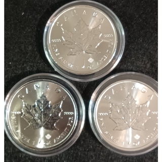 カナダメイプルリーフ1オンス銀貨　未使用美品銀貨　正規購入品純銀地金銀貨　3枚(金属工芸)