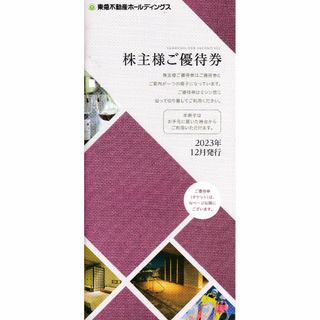 東急不動産ホールディングス　500株(フィットネスクラブ)