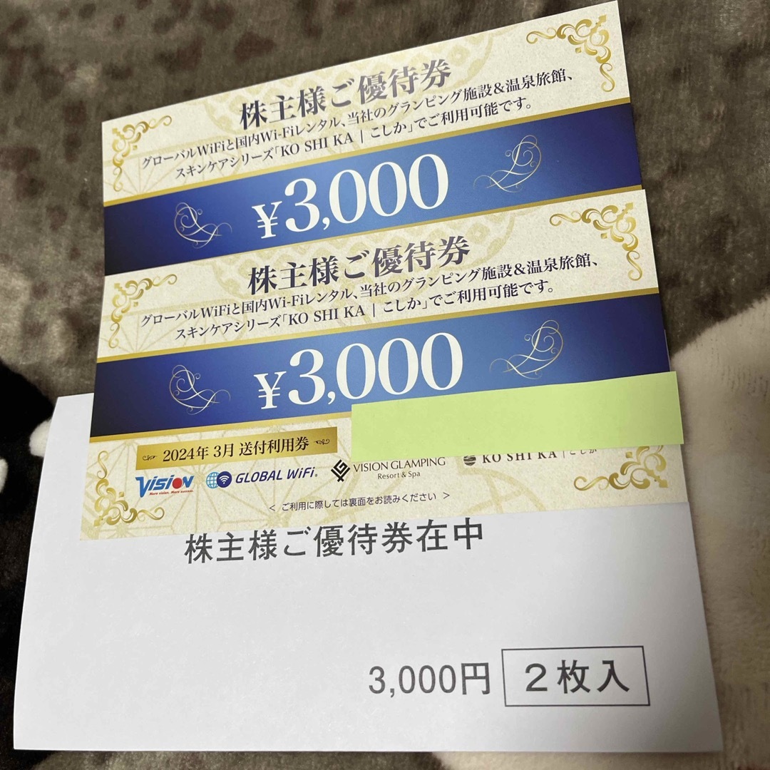 【最新】ビジョン　株主優待券　6000円分 チケットの優待券/割引券(その他)の商品写真