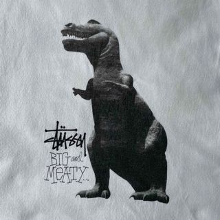 ステューシー(STUSSY)のold stussy ステューシー ARCHIVES フォト tシャツ(Tシャツ/カットソー(半袖/袖なし))