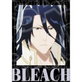 【朽木白哉】 BLEACH 千年血戦篇 インスタントフォト風ブロマイド Vol.1(その他)