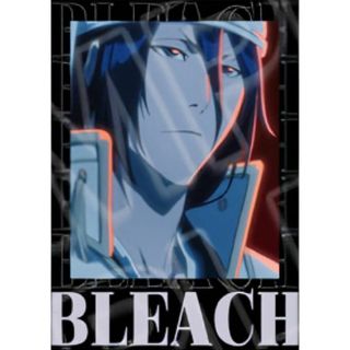 【朽木白哉】 BLEACH 千年血戦篇 インスタントフォト風ブロマイド Vol.2(その他)