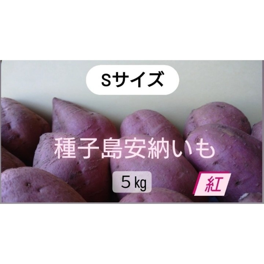 種子島安納いも紅S5キロ 食品/飲料/酒の食品(野菜)の商品写真