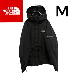 ノースフェイス(THE NORTH FACE) 韓国 マウンテンパーカー(メンズ)の 