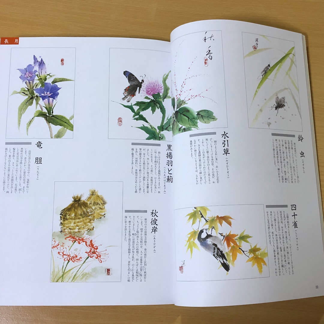 俳画歳時記 春 夏 秋 冬 ４冊 セット 花 素材 趣味 教材 娯楽 絵 俳画 エンタメ/ホビーの本(趣味/スポーツ/実用)の商品写真