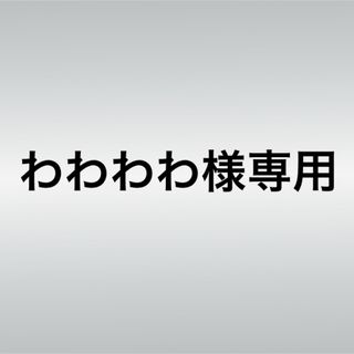 わわわわ様専用(その他)