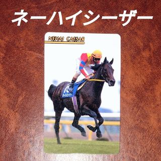 トウハト(東ハト)の東ハト 競馬カード ネーハイシーザー(スポーツ)