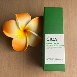  NATURE REPUBLIC CICAグリーンダーママイルドシカビッグトナー