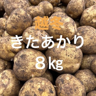 北海道産　越冬キタアカリ8kg (野菜)