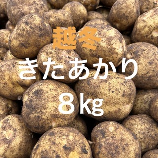 北海道産　越冬キタアカリ8kg (野菜)