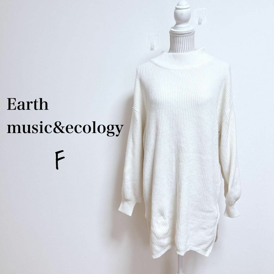 earth music & ecology(アースミュージックアンドエコロジー)のアースミュージック&エコロジー　ハイネック畦ニットチュニック【F】横スリット レディースのトップス(ニット/セーター)の商品写真