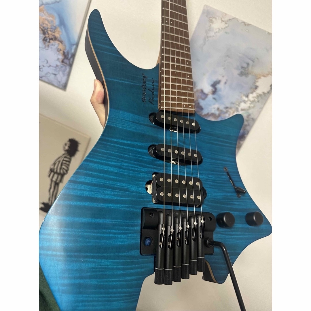 Ibanez(アイバニーズ)の.strandberg BODEN STANDARD6 楽器のギター(エレキギター)の商品写真