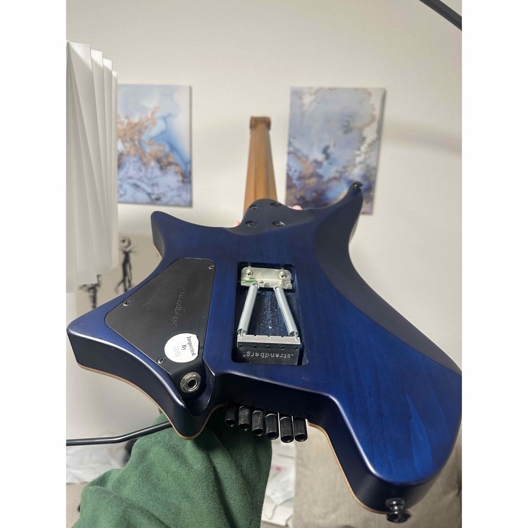 Ibanez(アイバニーズ)の.strandberg BODEN STANDARD6 楽器のギター(エレキギター)の商品写真