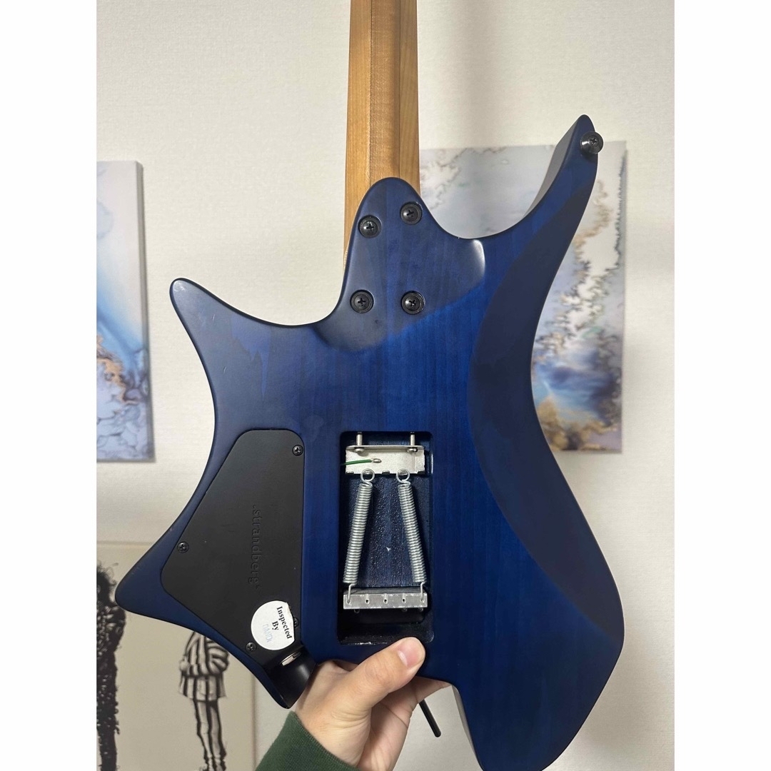 Ibanez(アイバニーズ)の.strandberg BODEN STANDARD6 楽器のギター(エレキギター)の商品写真