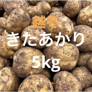 北海道産　越冬キタアカリ5kg(野菜)