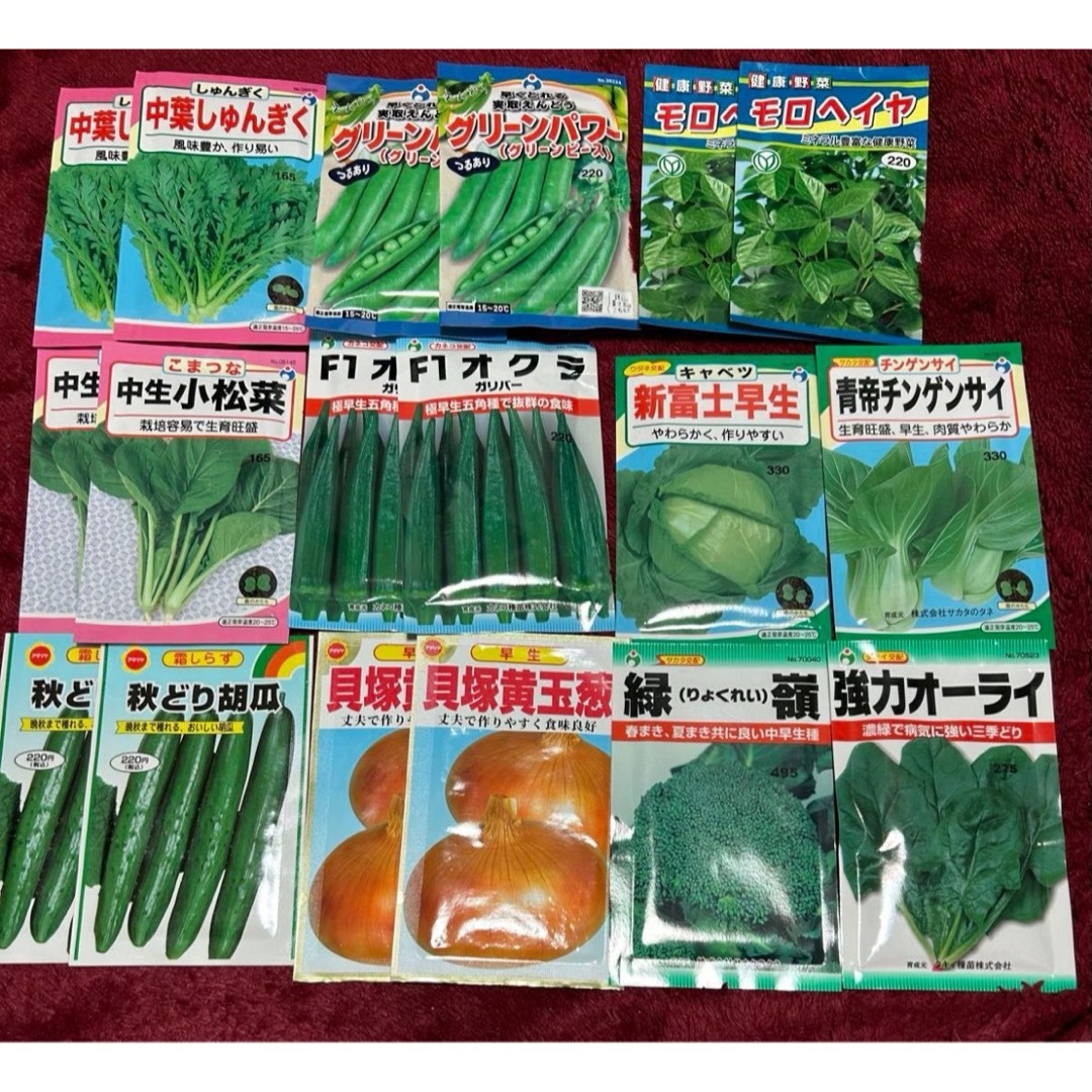 野菜の種　玉ねぎ入り 食品/飲料/酒の食品(野菜)の商品写真