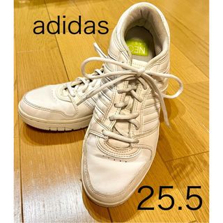 アディダス(adidas)のアディダス　ネオ　スニーカー　 adidas メンズ　レディース　25.5 白(スニーカー)