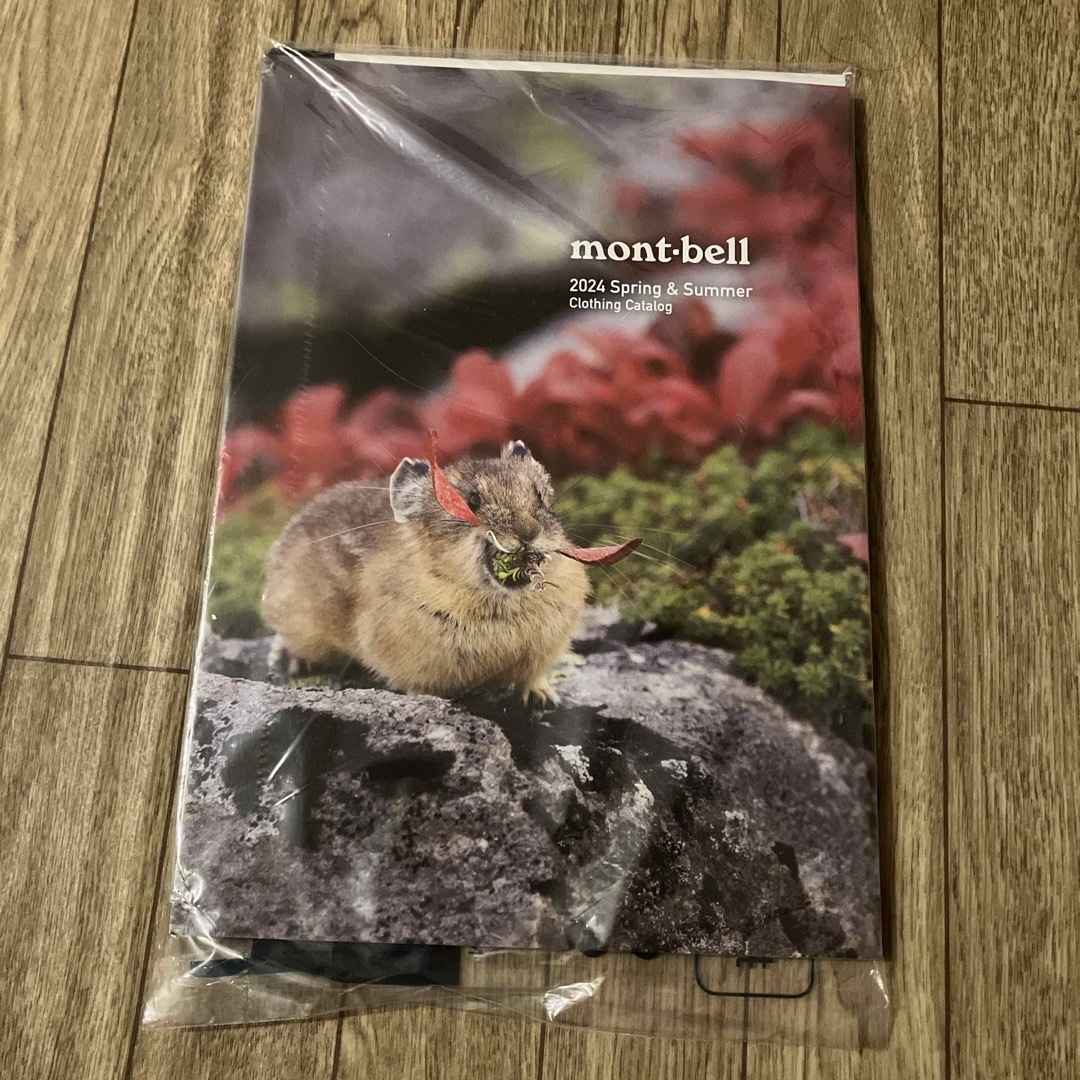 mont bell(モンベル)のモンベル カタログ  エンタメ/ホビーの雑誌(趣味/スポーツ)の商品写真