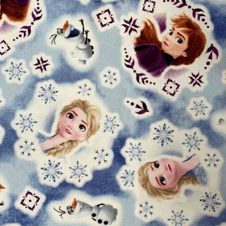 Disney - アナと雪の女王　生地　